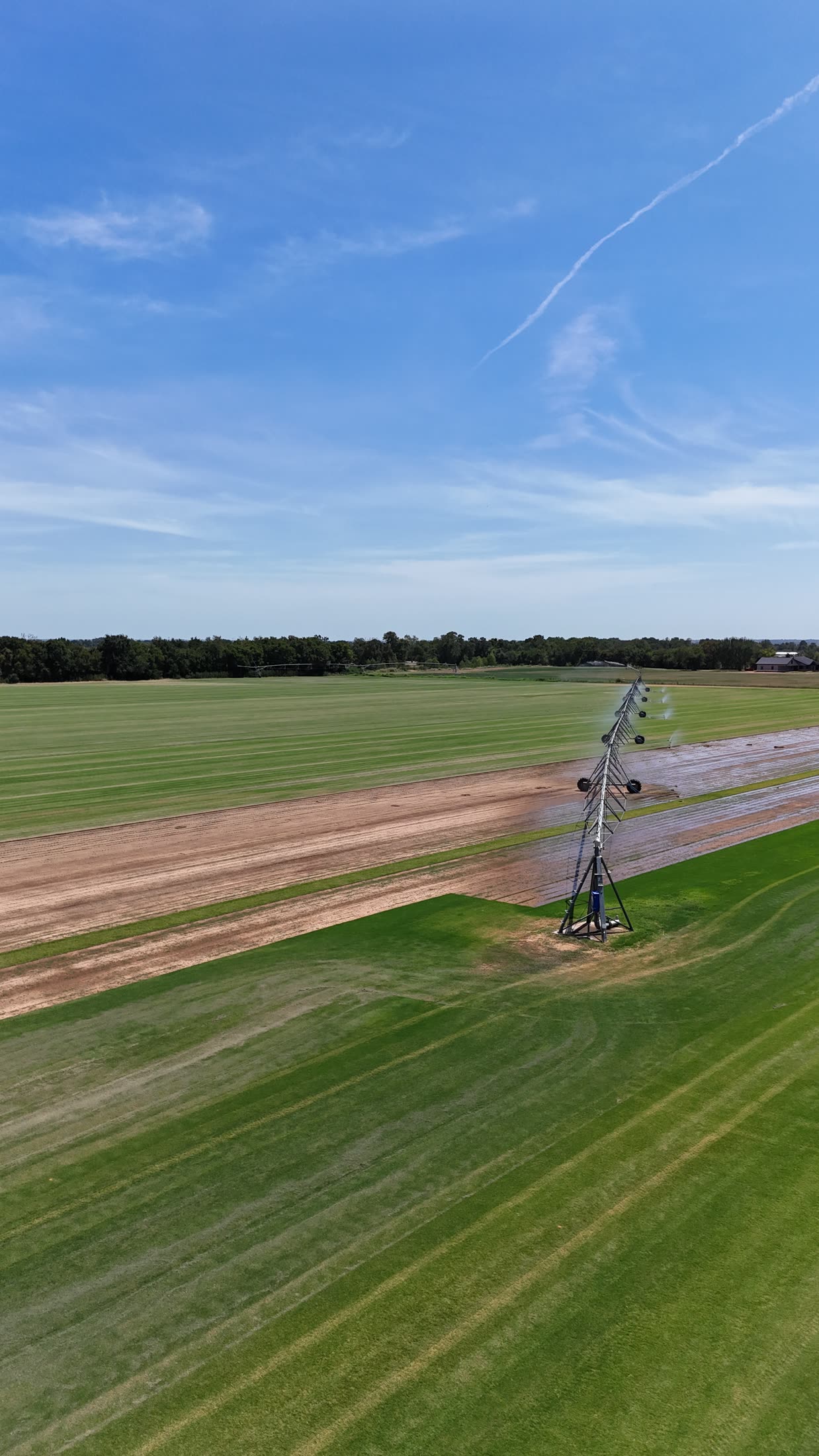 Aerial view down the center pivot line, fresh-cut strips beside watered turf