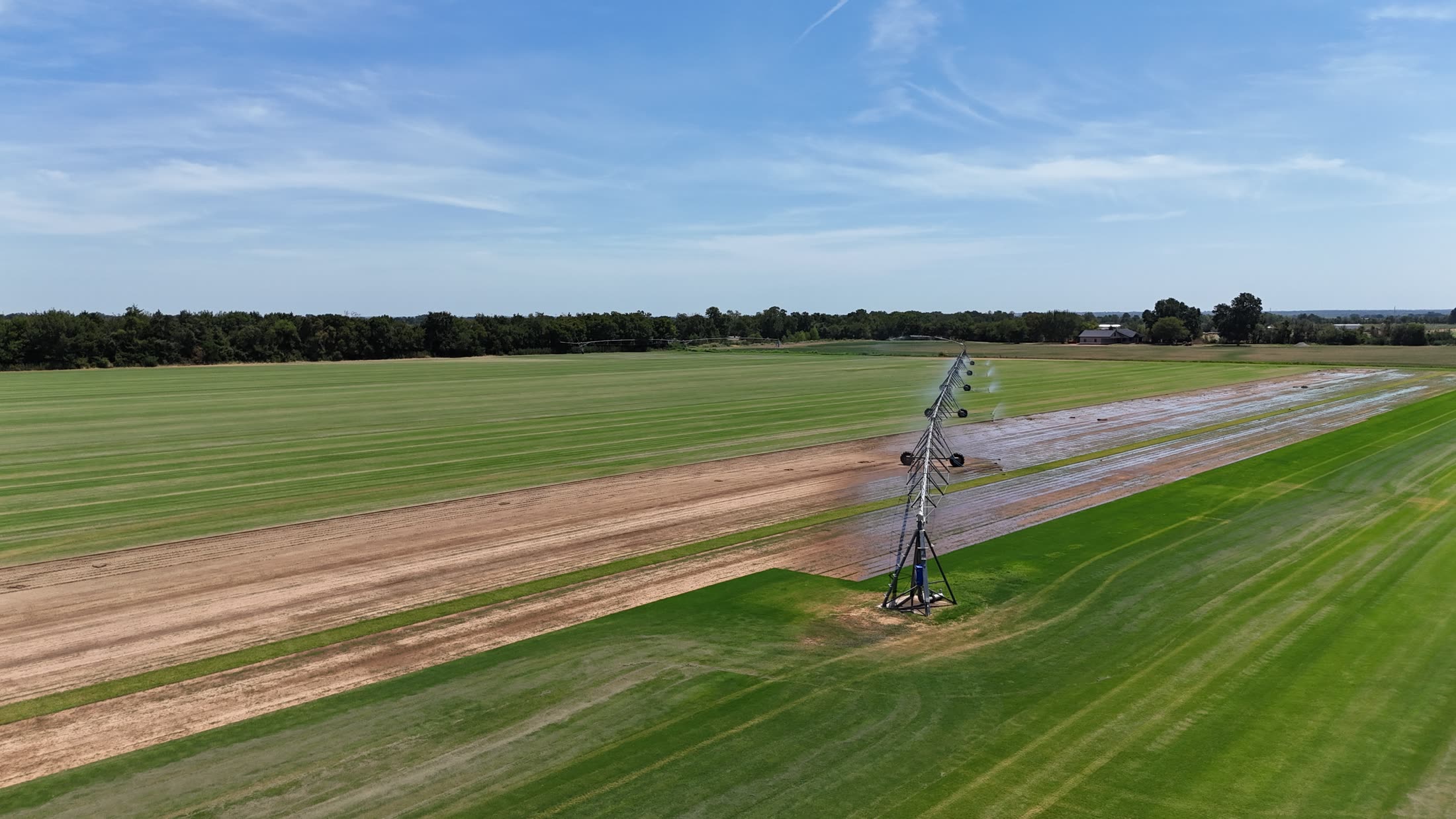 Aerial view of the sod fields, center pivot watering a freshly harvested strip
