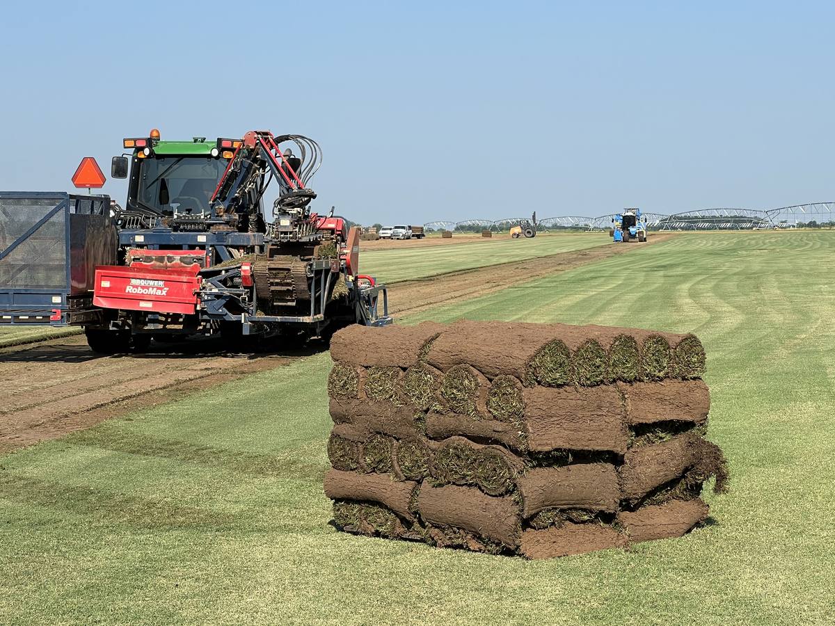 Pallet of sod rolls stacked behind the Brouwer RoboMax harvester