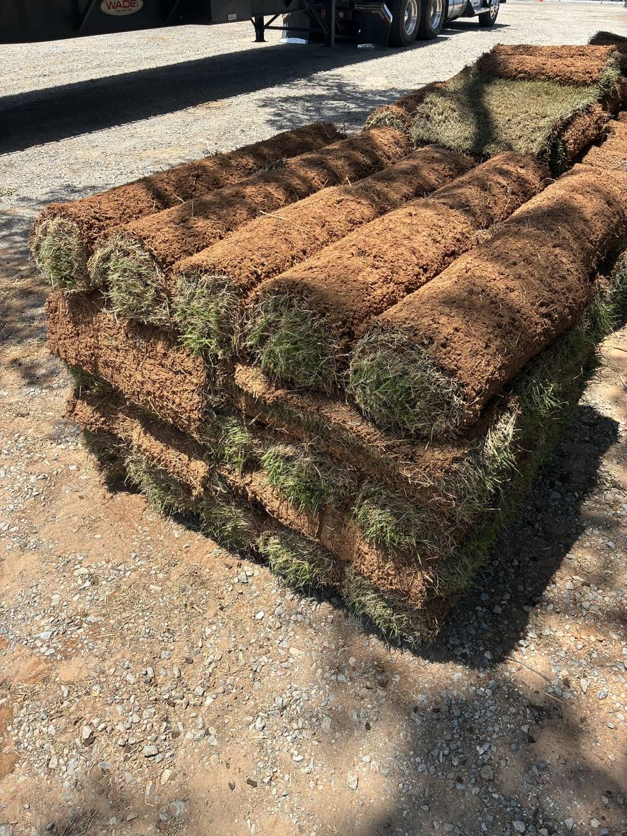 Pallet of fresh-cut sod slabs stacked at the Denison store
